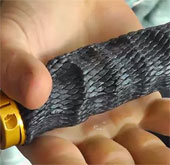 Imprint Bicycle Grips