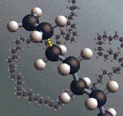 Improved polymer equipment can smell explosives and bombs