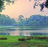 In 2020, Vietnam has 41 biodiversity conservation areas