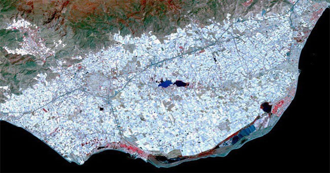 In Spain there is a greenhouse area planted close to trees, visible from orbit