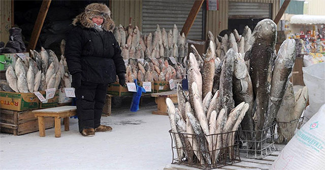 In the coldest place in the world, everything is frozen, what do people eat?