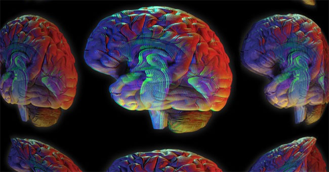 In the future, the fate of coma patients will be decided by computer algorithms