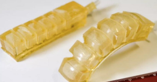 In the near future, humans can eat robots