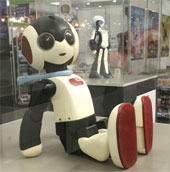 In the next decade, will robots replace smartphones?