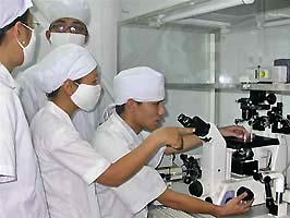 In vitro fertilization for dairy cows