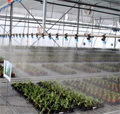 Inauguration of the most modern greenhouse and greenhouse in the South