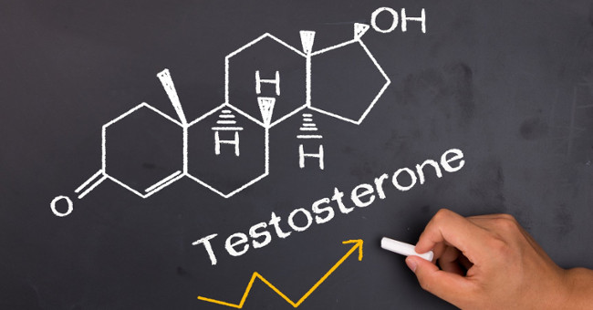 Increased testosterone men will be more impulsive