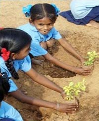 India: 10 million trees in 1 day