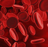 India announced the successful development of artificial blood
