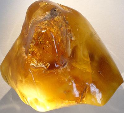 India discovered the largest mass of amber in history