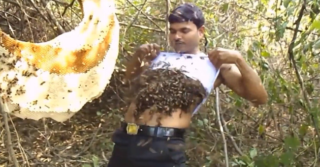 Indian mutants are immune to bee venom