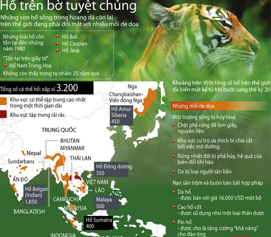 Indonesia: Another Sumatra tiger was killed