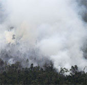 Indonesia bombarded the forest with water bombs