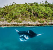 Indonesia established the world's largest stingray reserve