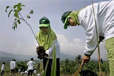 Indonesia launched all people to plant trees