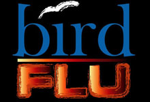 Indonesia: one person died of bird flu