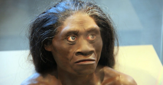 Indonesia's ancient dwarf was wiped out by human ancestors?
