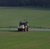 Infection with less pesticides, brain damage