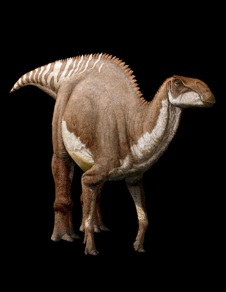 Ingredients in the gut reveal the diet of dinosaurs