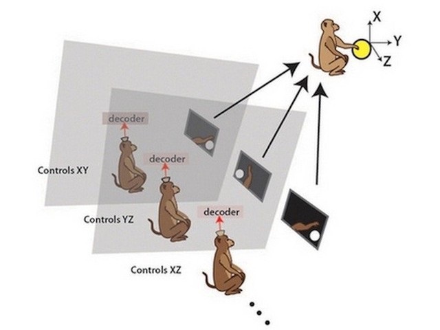 Initial success in connecting human brains together