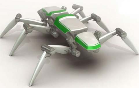 Insect robot