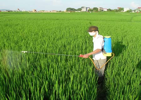 Insecticide abuse causes greenhouse gas emissions