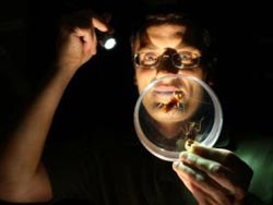 Insecticides can kill 3 generations of cockroaches