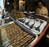 Insects will be an important food for humans