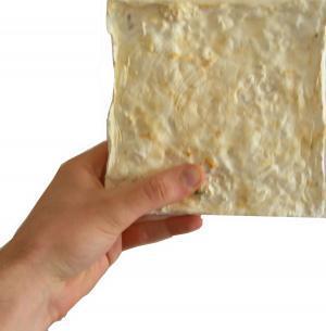 Insulation material from spores