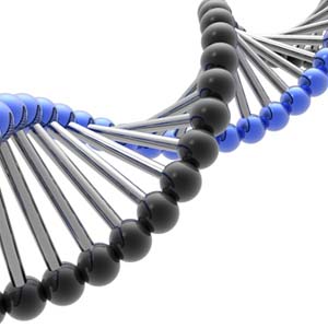 Intelligence is not only due to genetics