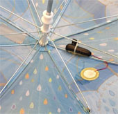 Intelligent data collection rain