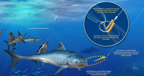 Intelligent hooks help shark sharks
