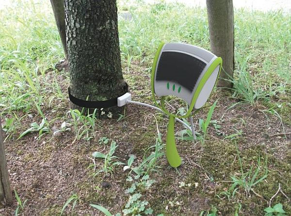 Intelligent plants know CO2 emissions