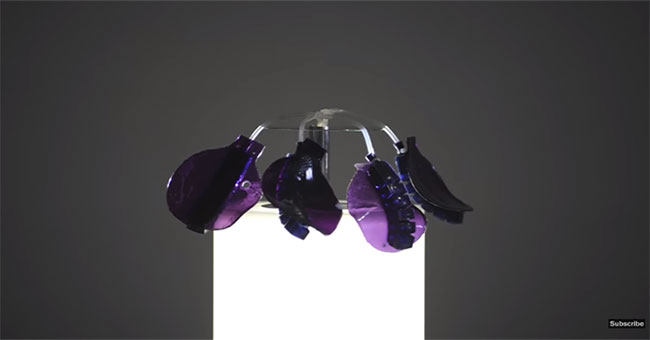 'Interactive food' - A great combination of cuisine and technology