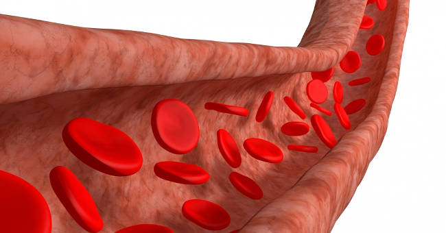 Interesting discovery of human circulatory system