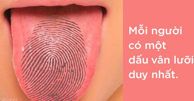 Interesting facts about the human body