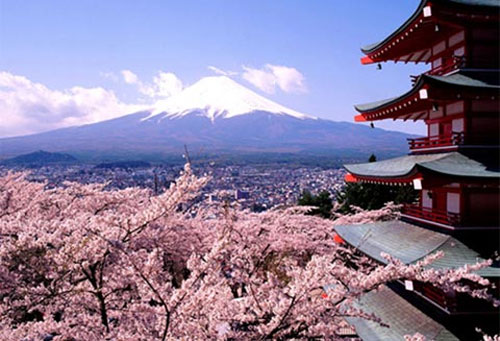 Interesting surprises about the Japanese family