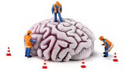 Interesting things about the brain