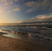 International conference on cleaning the Baltic Sea water