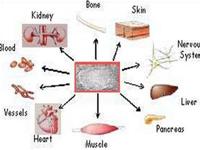 International conference on stem cells