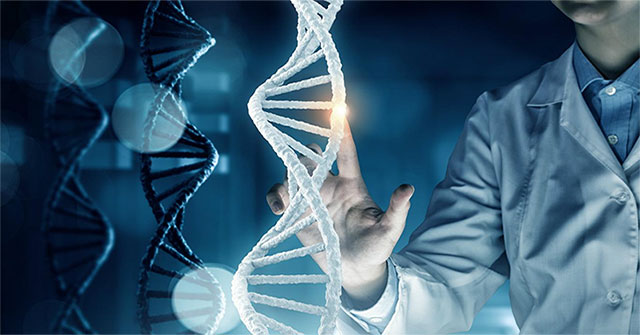 International publication of the Vietnamese genome sequence