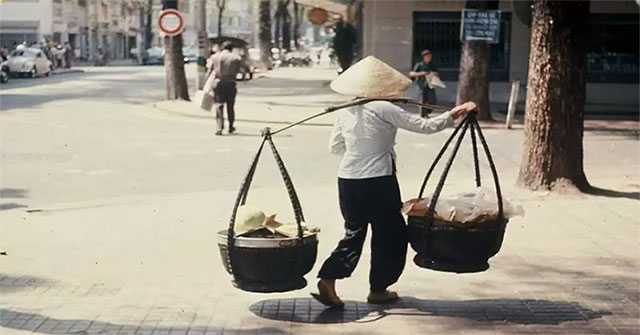 International scientists discovered the mystery of Vietnamese bamboo attack