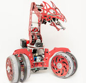 Introduce robot can learn as human brain