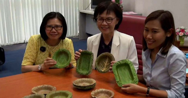 Invent a bowl made from leaves, replacing a toxic foam food container