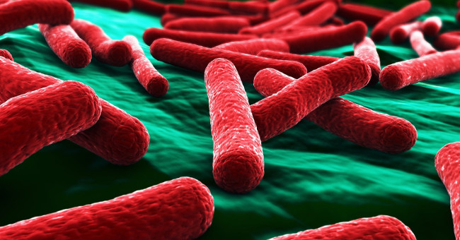 Inventing a material that kills E.coli bacteria in 30 seconds