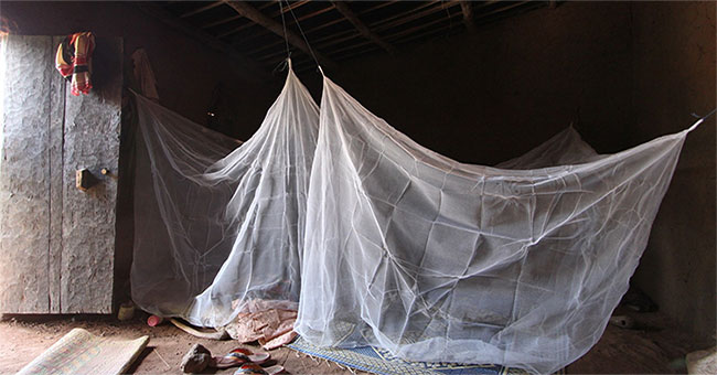 Inventing mosquito net screen