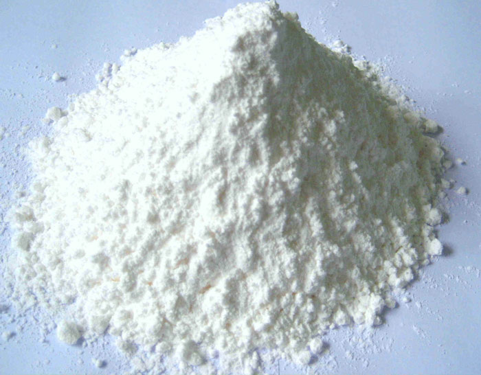 Inventing starch helps prevent obesity