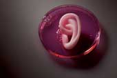 Inventions that change the future of organ transplantation