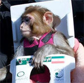 Iran successfully put the second monkey into space