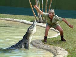 Irwin fans' revenge on rays